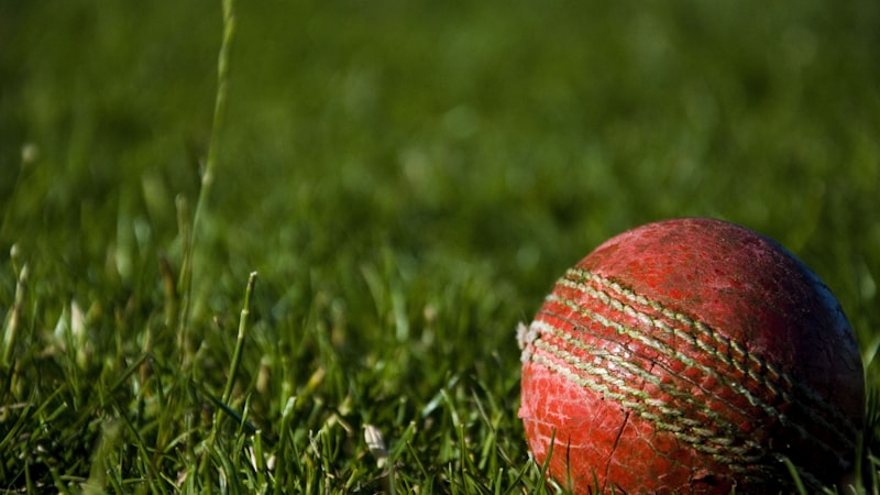 英雄联盟全球总决赛电竞比赛现场观众图片